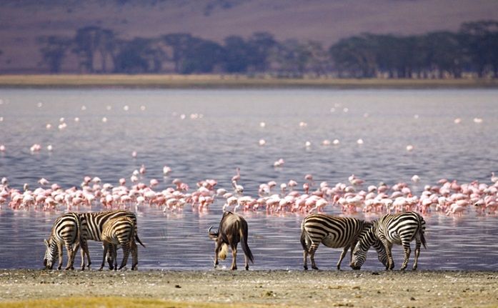 Lake Nakuru National Park