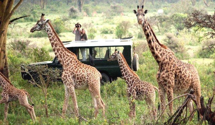 Maasai Mara National Park