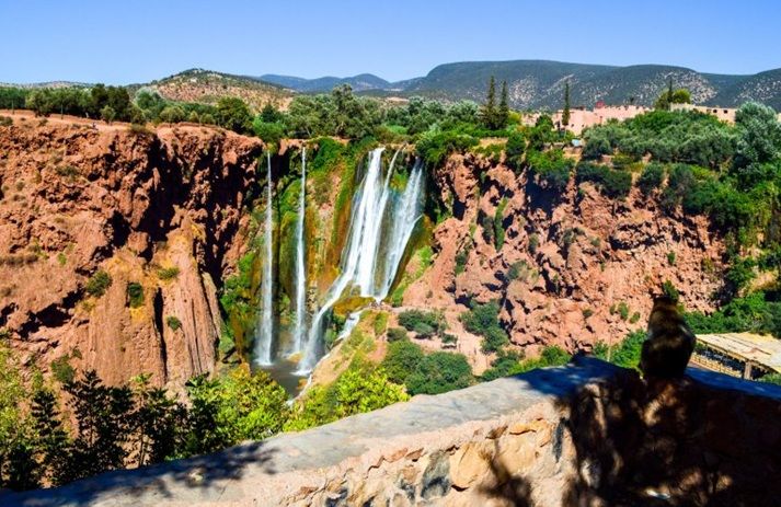 Ouzoud Waterfalls Day Trip