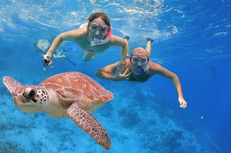 snorkeling at Hamata Island
