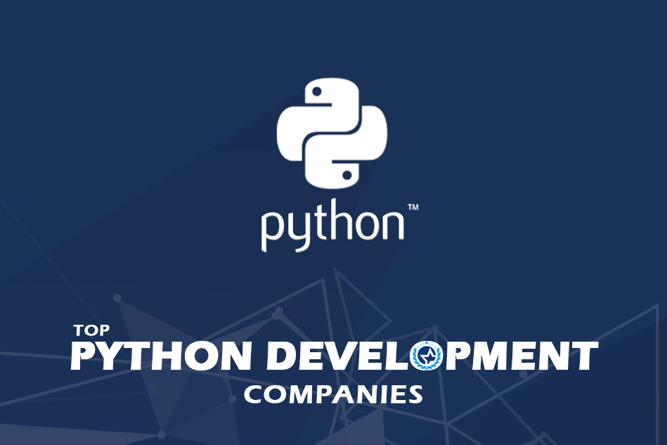 Top Python Development Companies 2024