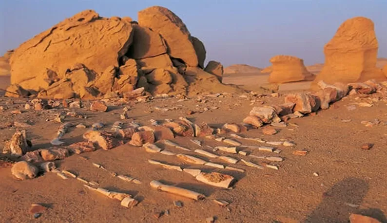 Wadi Hitan